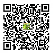 梦秋音 支付宝
